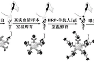 快速检测过敏反应的二氧化硅磁性微球的制备方法及其应用
