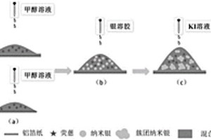 微塑料表面吸附污染物的原位检测方法