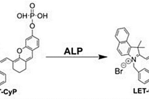 用于碱性磷酸酶检测的分子探针及制备方法与应用