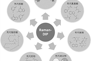 原位快速检测细胞生物过程的方法
