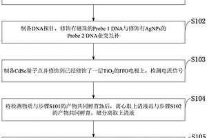 基于循环扩增和阳离子交换检测核酸分子的方法