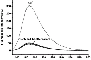 吡啶-香豆素衍生物荧光探针及其制备方法和应用