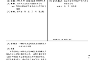核/壳型超顺磁性复合微粒及其制备方法与应用