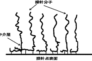 高特异性高灵敏度的基因芯片及其制备方法与应用