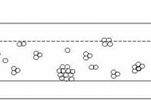 采用颗粒聚集或解聚的均相测定