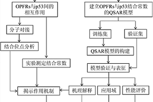 预测生物标志物p53与有机磷酸酯阻燃剂相互作用亲和力的方法