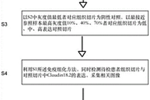 评估实体肿瘤Claudin18.2蛋白表达的方法和应用