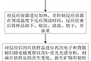 用于流体岩石相互作用试验的方法