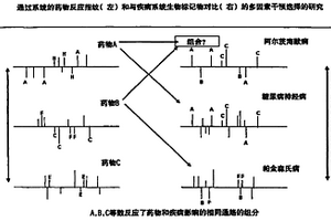 用于确定多组分合成产品混和物对一组活体系统体内的疾病的生物特征谱的影响以及开发新组合干预的方法