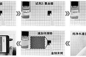 现场即做即用的拉曼增强芯片试剂盒及其制备方法
