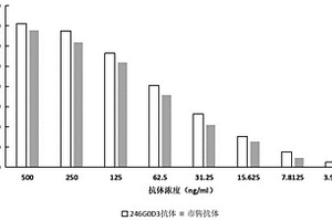 抗HER2重组兔单克隆抗体及其应用