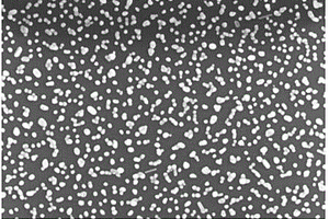 银纳米团簇表面增强拉曼散射基底及其制备方法和应用