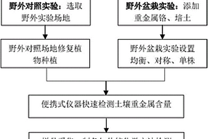 土壤重金属铬修复植物的筛选方法