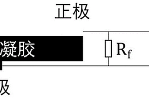 便携式自供能水凝胶应变传感器的制备方法