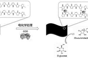 基于聚吡咯薄膜的自支撑葡萄糖传感器及其构建方法