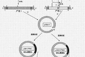 嵌合外源无关序列的核酸质控的制备方法