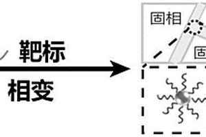 相变诱导靶标富集的方法