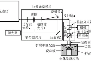 面向液相催化产气装置的原位显微光谱系统和方法