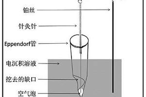 多参数高通量SERS活性微针的制备方法及活性微针