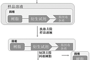 基因毒杂质捕捉用固相探针及其使用方法与应用