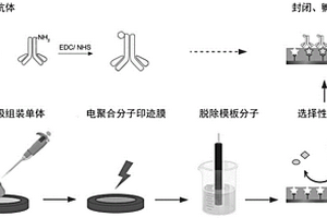 三明治结构传感器及其制法与应用