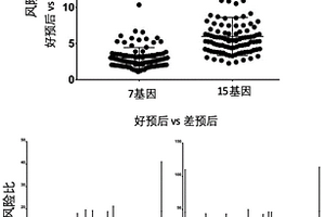 一组结肠癌预后相关基因的应用