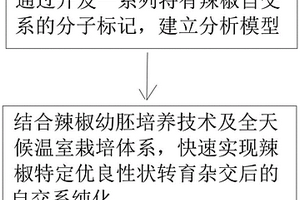 利用分子标记的辣椒快速培育方法