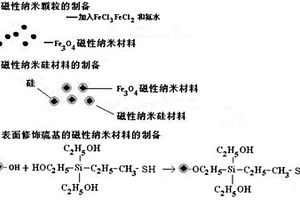 表面修饰巯基的磁性纳米材料及其制备方法和应用