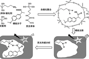 荧光分子印迹硅胶纳米粒子的制备方法与应用