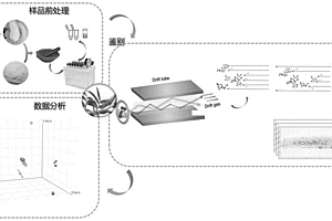基于二维离子淌度质谱图的中药石斛种属鉴别方法