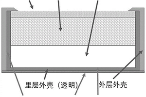 透明DGT装置及其应用