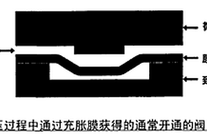 微流体和纳米流体装置、系统和应用