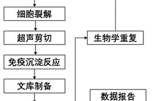 BPDE加合基因的鉴定方法