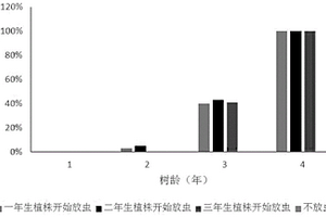 促进印度黄檀心材形成的种植方法