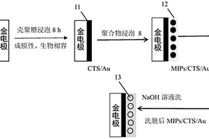 苯酚分子印迹传感器的制备方法