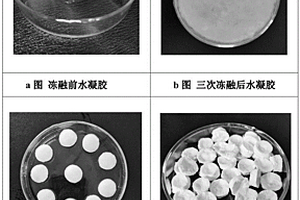 鉴定肉品新鲜度智能指示标签的制备方法与应用
