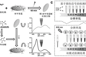 比率型钯-亚甲基蓝配位聚合物纳米探针、制备方法及应用