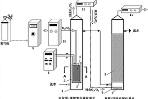 高铁集便废水的深度处理装置和方法