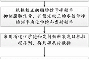 磁共振成像方法及系统
