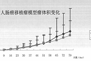 人结肠癌移植瘤小鼠模型的建立方法