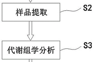 海藻多糖免疫调节活性的快速筛选方法及应用