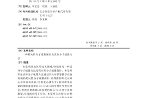 靶向性分子成像探针及活体分子成像方法