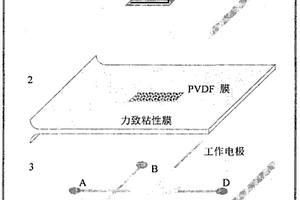 基于微流控芯片的传感器及制备