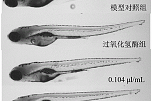 评价化妆品抗衰老化功效的方法