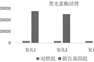 用于药物代谢动力学研究的心肌细胞及其制备方法