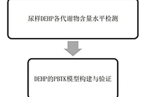 应用生理毒代谢动力学模型估计DEHP每日摄入量的方法