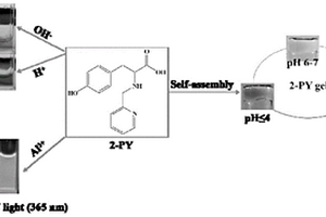 氨基酸衍生物及其制备方法和作为酸碱指示剂、荧光探针的应用
