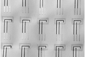 纳米纤维素纸基生物传感器的构建方法