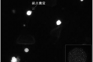 以微生物载体的新型示踪标记物材料、制备方法与应用