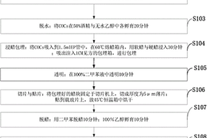 包含多个复合体的新型COCs复合结构组织的制备方法